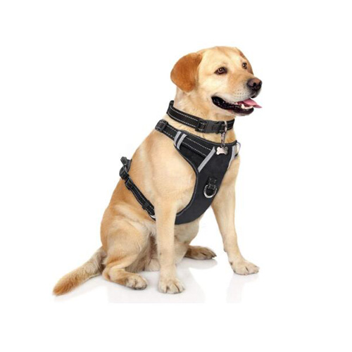 Dog leash harness